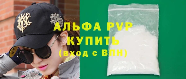 стаф Богородск