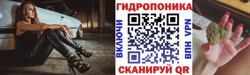 Купить Никольск Шишки марихуана LSD WEED